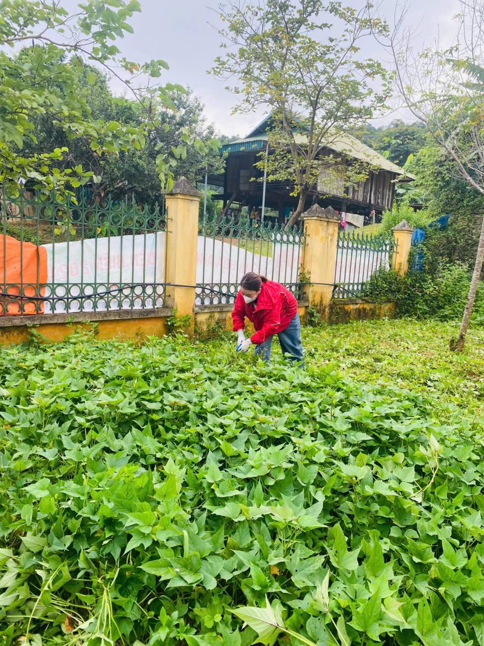 lao động 4
